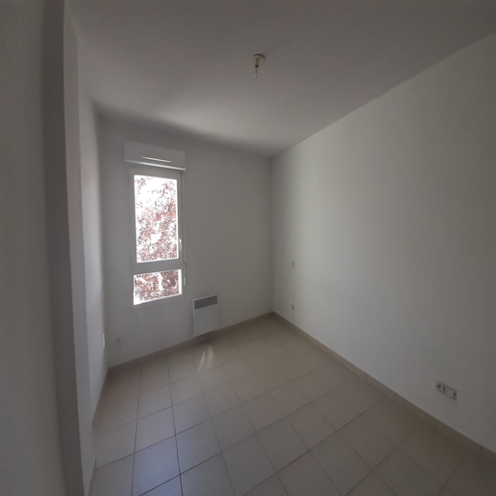 Image_, Appartement, Narbonne, ref :5369