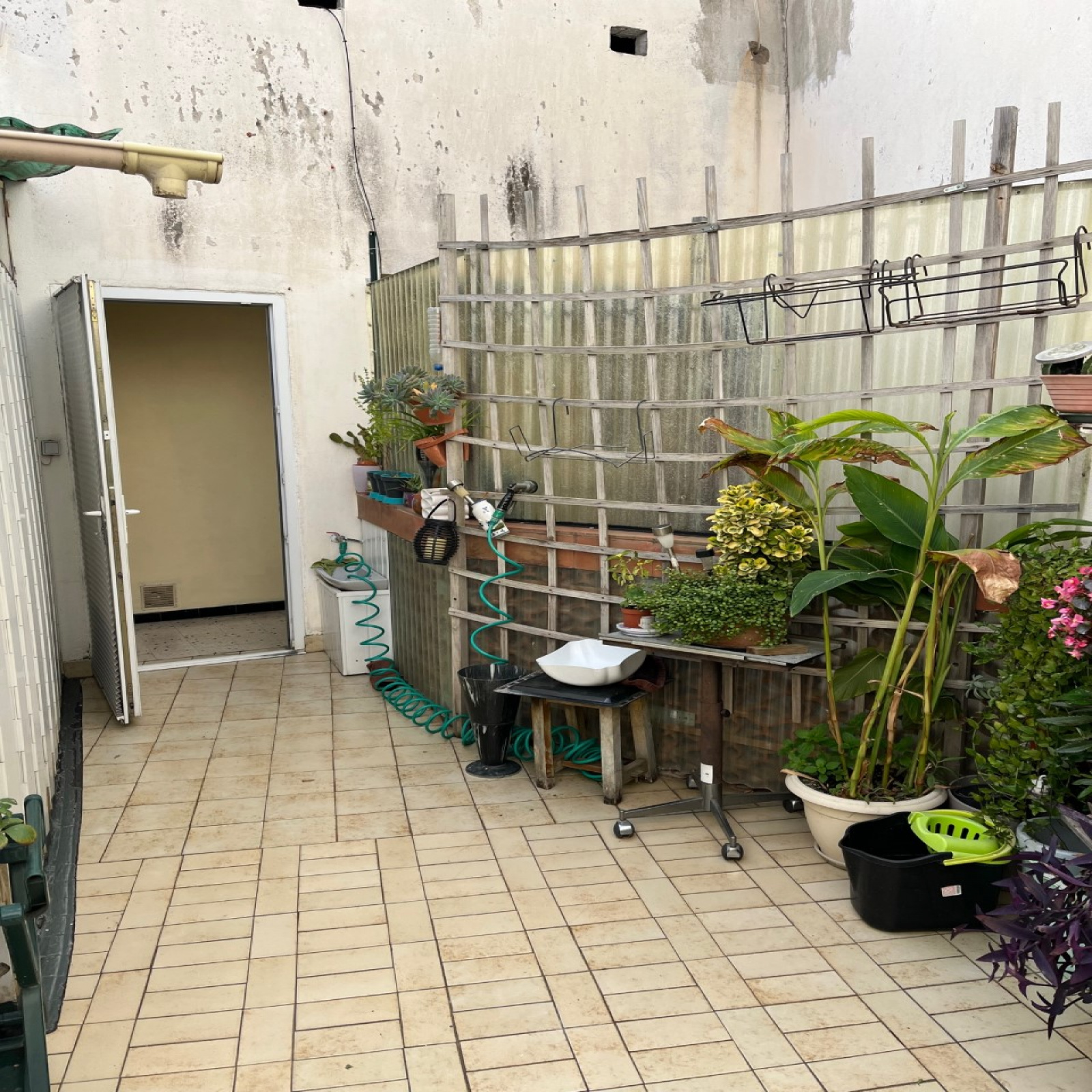 Image_, Appartement, Narbonne, ref :5364