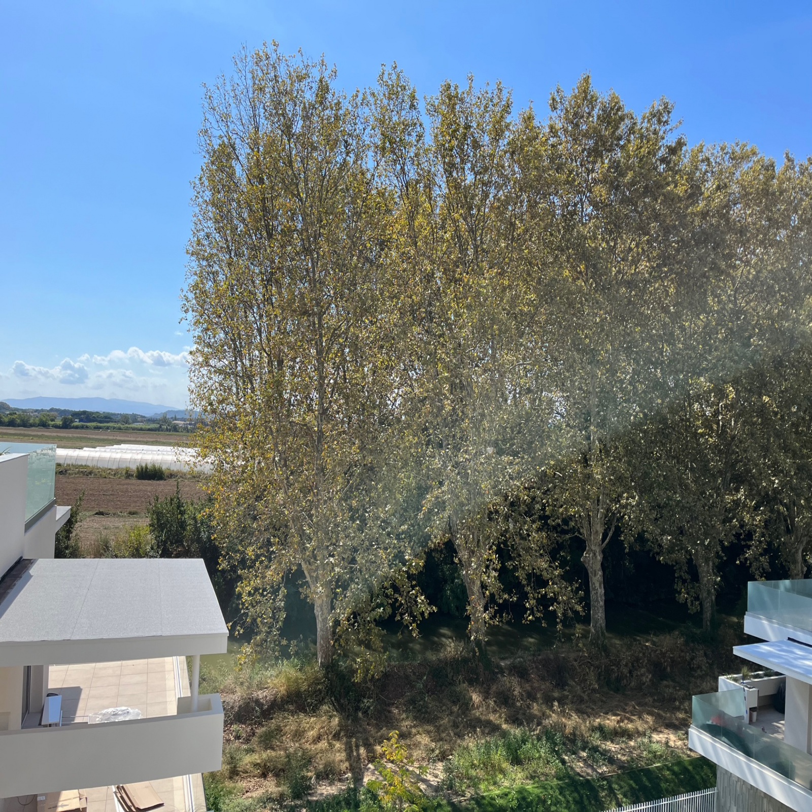 Image_, Appartement, Narbonne, ref :5316